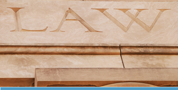 Web Design Object - Decorative Image